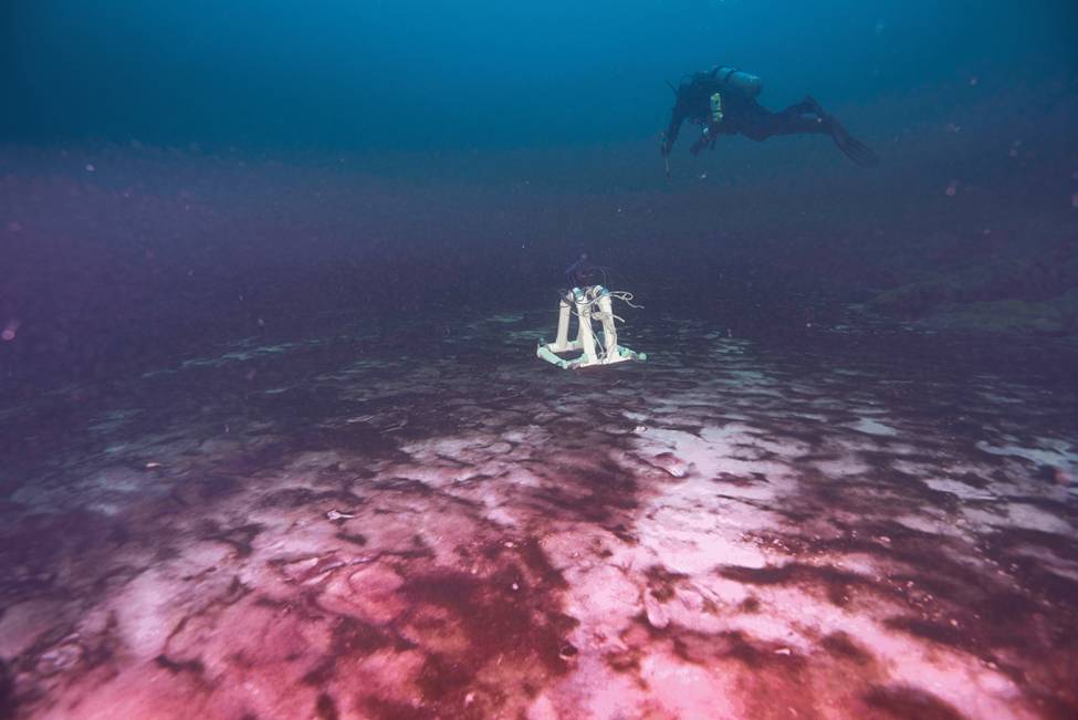 Underwater Scuba Diver